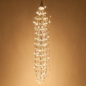 Silver Lighted Willow Falling Branches